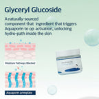 Round Lab Birch Juice Moisturizing Cream Korean Skincare Hydrating Nourishing Face Cream 80ml