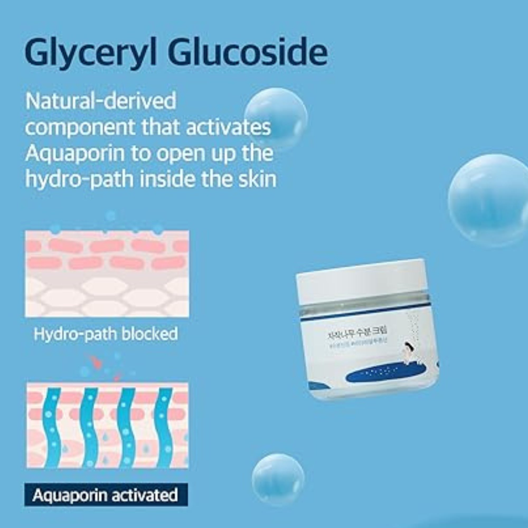 Round Lab Birch Juice Moisturizing Cream Korean Skincare Hydrating Nourishing Face Cream 80ml